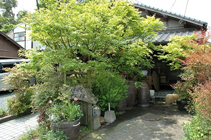 城下町 秋月_a0042310_17375686.jpg