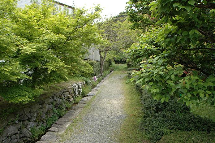 城下町 秋月_a0042310_1754164.jpg