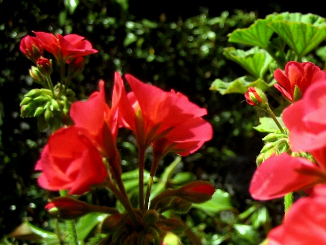 b0064411_06324.jpg