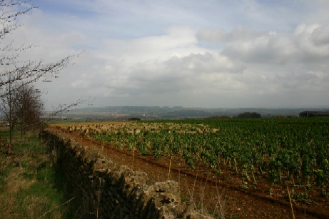 f0097620_123498.jpg