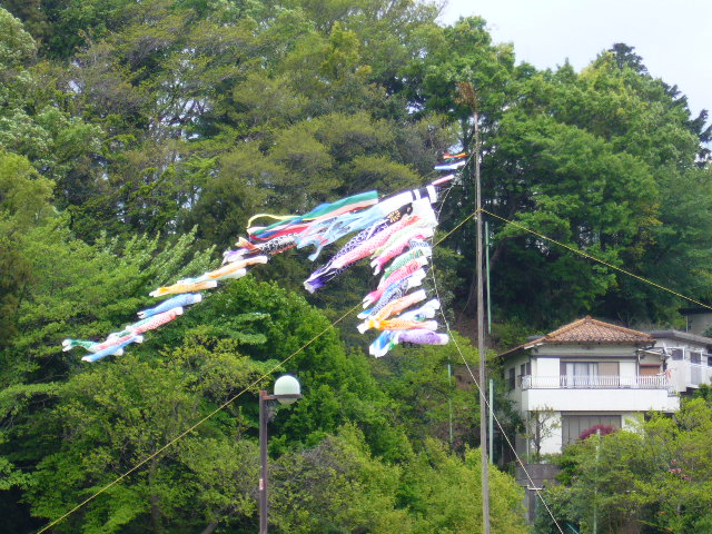 d0000324_14361426.jpg