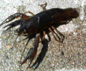 f0085327_1630688.jpg