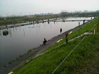 ブラックバス釣り　フィッシングエリア吉羽園＠埼玉県幸手市_a0013053_20143974.jpg