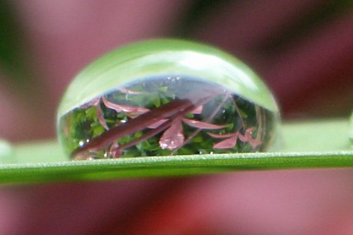f0104569_21113886.jpg