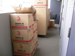 No 日本からの引越し荷物到着 Shina Poohな日々 San Francisco