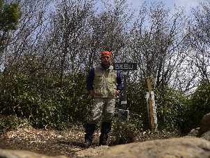 f0082181_10386.jpg