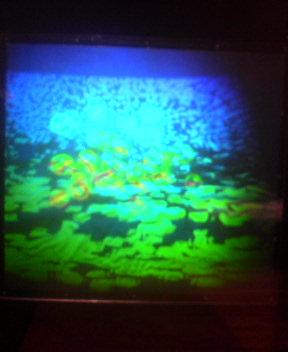 a0036384_233448.jpg