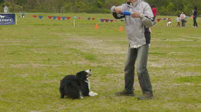 N.D.A. Discdog Championships in 広島_e0050892_21185897.jpg