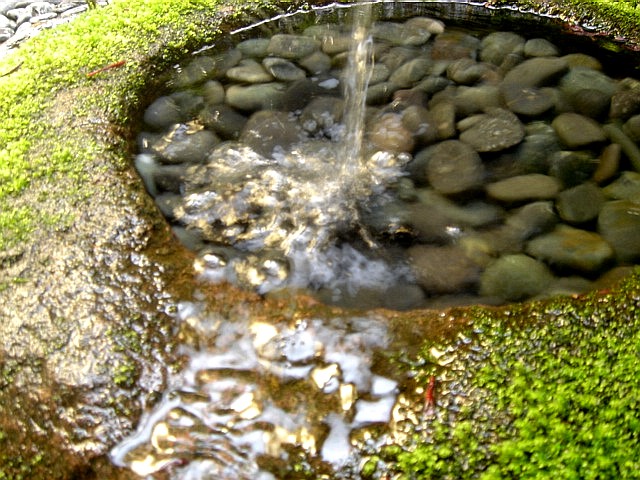 c0003723_91197.jpg