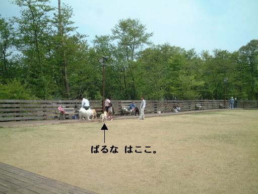 e0047026_20355464.jpg