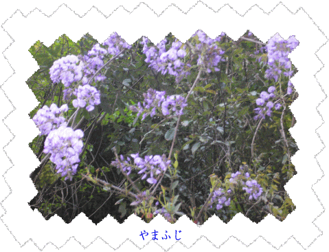 e0088531_15463710.gif