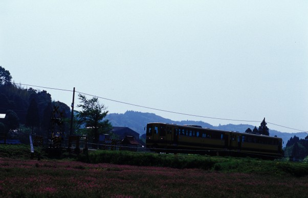 f0067040_2534971.jpg
