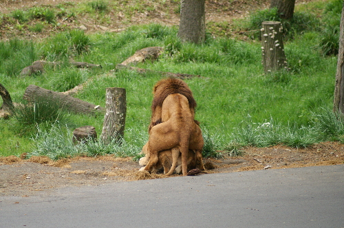 愛ある風景 in TAMA Zoo_b0078541_213185.jpg