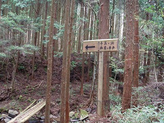 d0048350_20283635.jpg