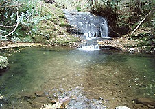 d0048350_202911.jpg