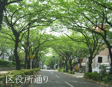 f0002750_1702920.jpg