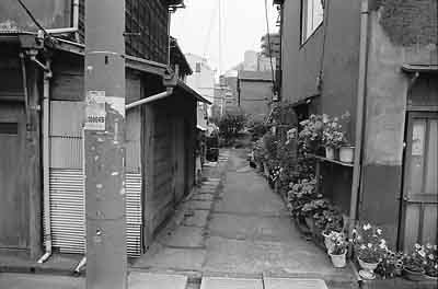 e0072159_1211511.jpg