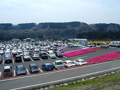 2006年４月２３日（土）みさと芝桜公園_b0017873_161666.jpg