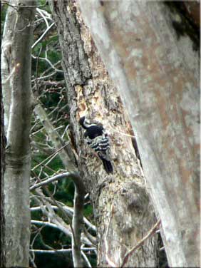 f0083977_2247270.jpg