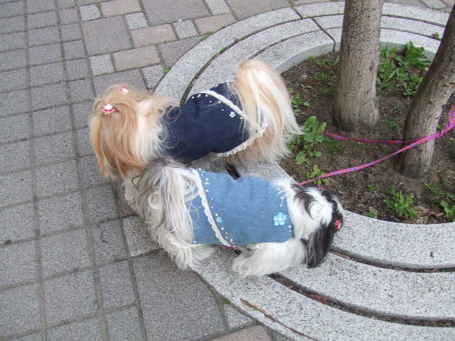 e0050801_04147.jpg