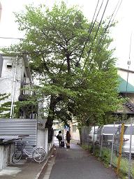 帰ってきましたーーー!_f0042307_1023950.jpg