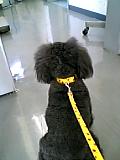 d0050719_9331135.jpg