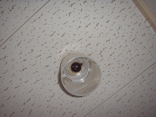 サッシ・部分修理_f0031037_1962643.jpg
