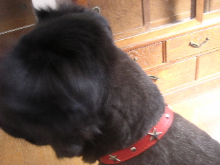 c0065643_2242235.jpg