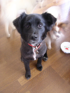c0065643_22451741.jpg