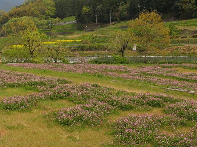 明日香村　　帰りは足にハンカチの巻_d0027244_23433883.jpg