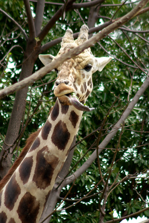e0068257_1564024.jpg