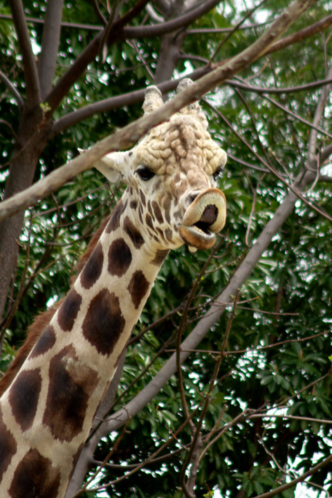 e0068257_1572065.jpg