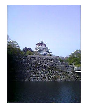 f0000673_10591613.jpg