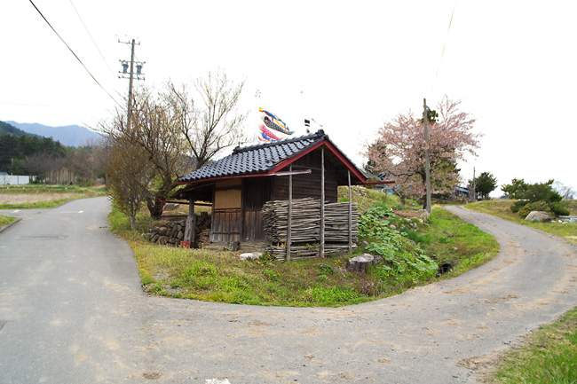 c0054876_675437.jpg