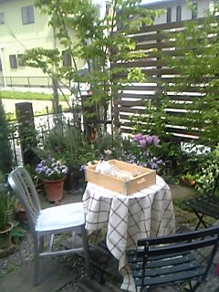 b0078288_2329413.jpg