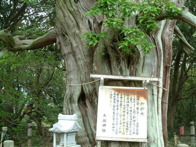 旅行＠西伊豆　一日目_f0063791_13324427.jpg