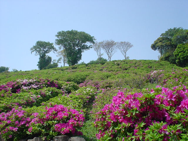 c0008598_16383045.jpg