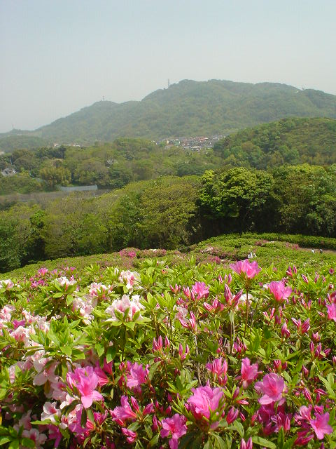 c0008598_16414376.jpg