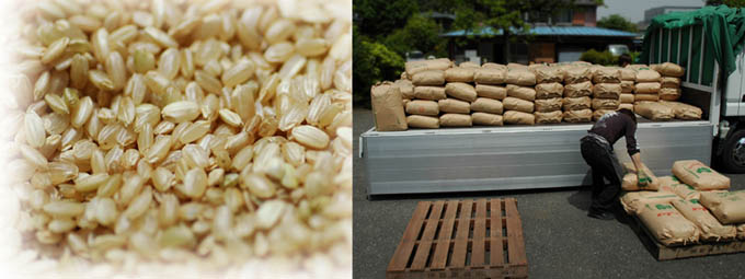 幻の須賀川造り3等が100本だけ入荷しました!_c0068515_1943864.jpg