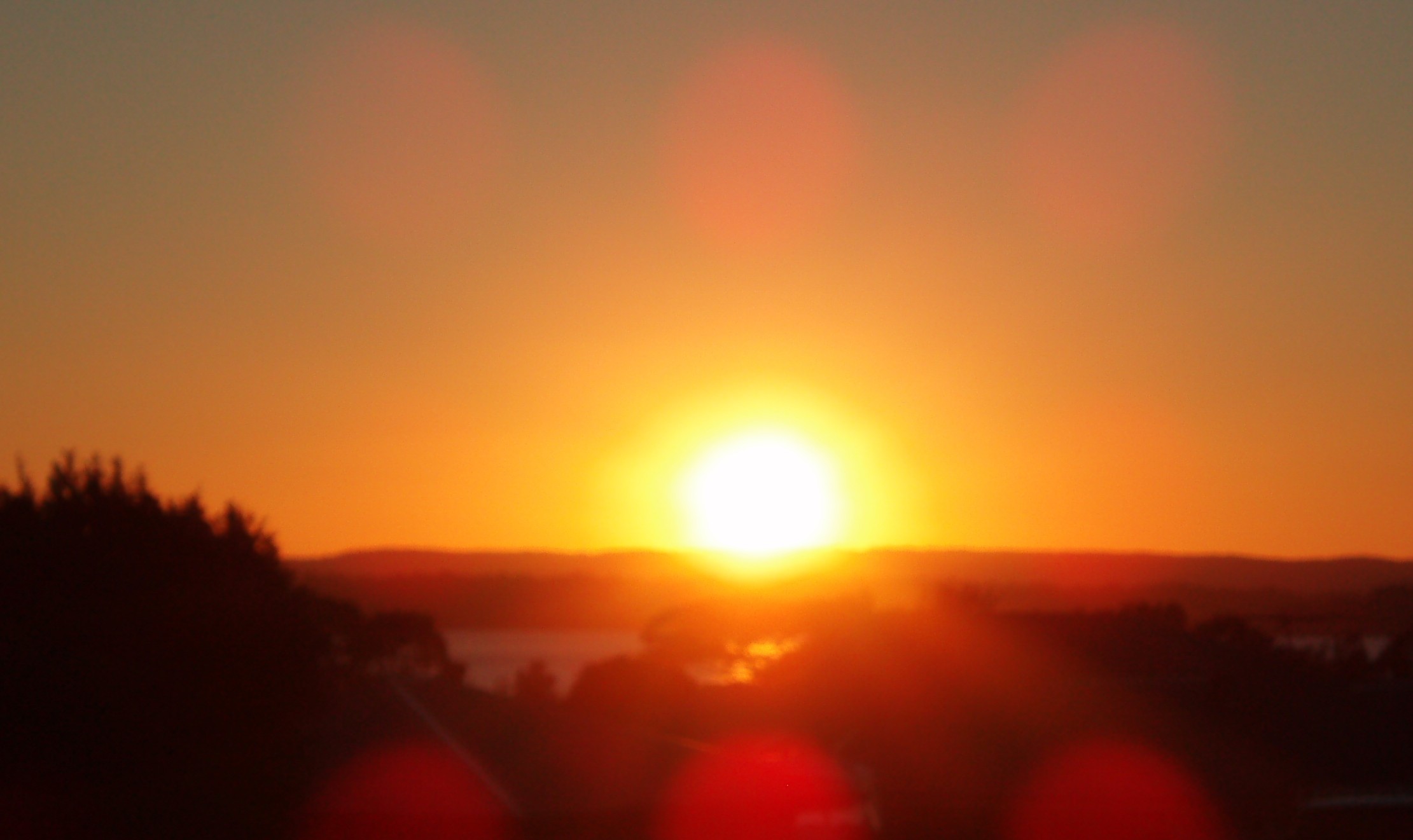 昇るサンライズ トモコのオージー入門日記