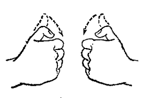 b0074017_4321646.gif