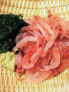 桜えび　春の漁_c0053520_9265750.jpg