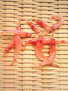 桜えび　春の漁_c0053520_9272855.jpg