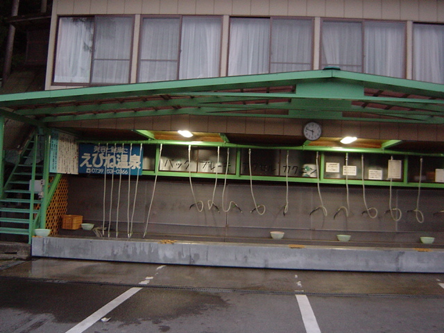都会に無いもの。。。♪_c0058727_9134439.jpg