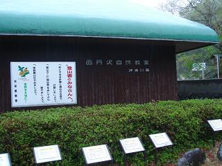 a0048040_1735531.jpg