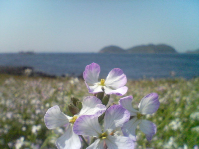 e0092444_1541470.jpg
