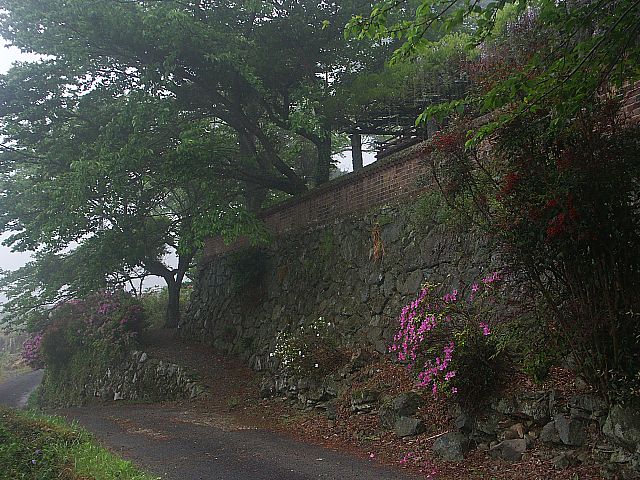 朝の散歩道_e0010568_10542613.jpg