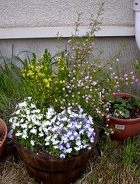 GW_b0003270_22272165.jpg