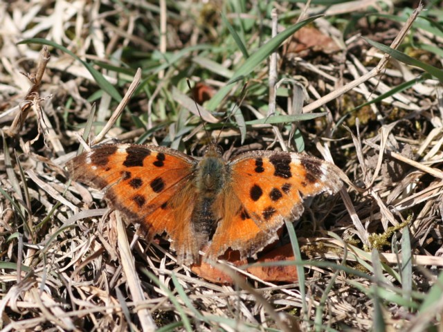 b0088772_89552.jpg