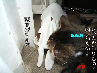 a0045990_8483838.jpg